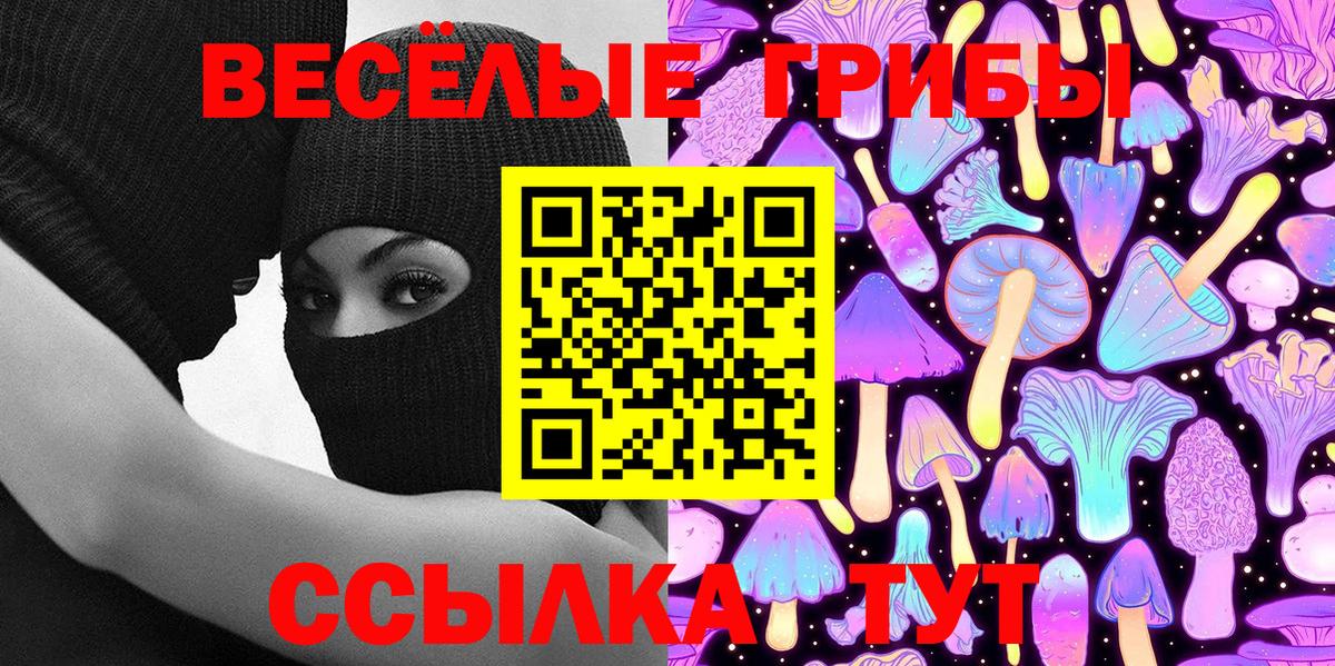 Галлюциногенные грибы GOLDEN TEACHER  Вход с VPN  купить наркотики сайты  Рубцовск 